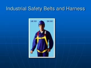 Industrial Safety Belts and Harness