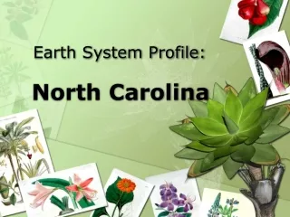 Earth System Profile: