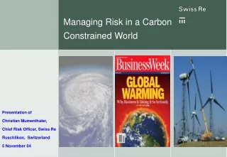 Managing Risk in a Carbon  Constrained World