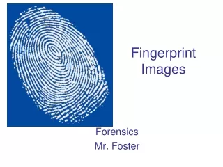 Fingerprint Images