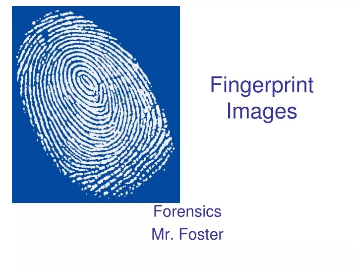 fingerprint images
