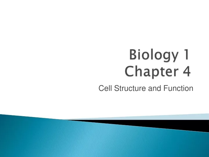 cell structure and function