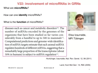 V22: involvement of microRNAs in GRNs