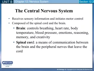 The Central Nervous System