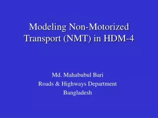 Modeling Non-Motorized Transport (NMT) in HDM-4