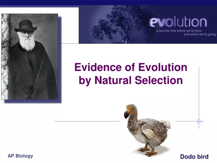 evidence of evolution by natural selection