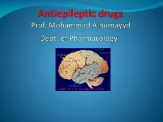 Antiepileptic drugs Prof. Mohammad  Alhumayyd Dept. of Pharmacology