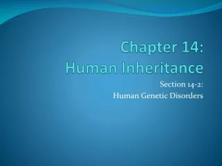 Chapter 14:  Human Inheritance