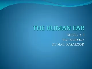 THE HUMAN EAR