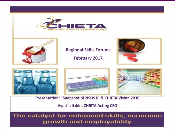 presentation snapshot of nsds iii chieta vision