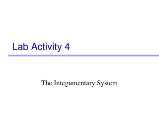 Lab Activity 4