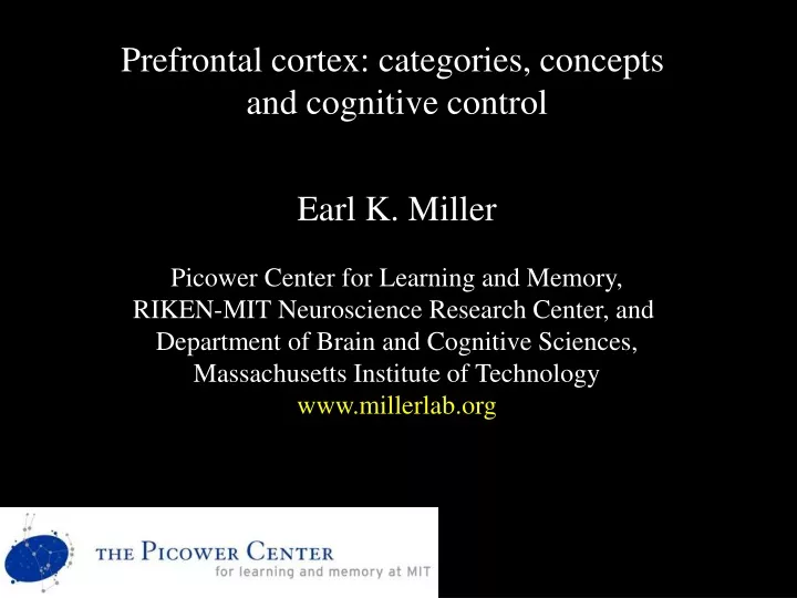 prefrontal cortex categories concepts