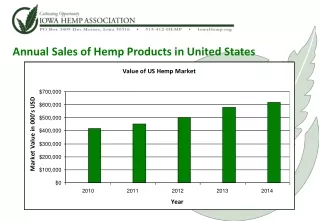Annual Sales of Hemp Products in United States