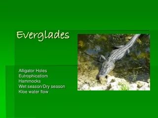 Everglades