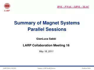 Summary of Magnet Systems Parallel Sessions
