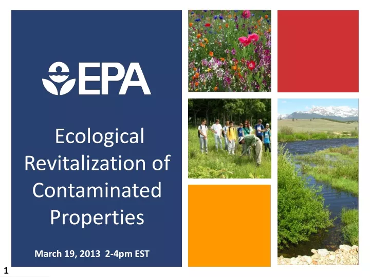 ecological revitalization of contaminated properties