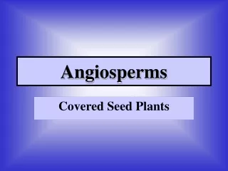 Angiosperms