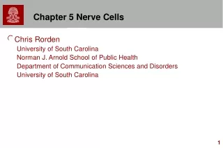Chapter 5 Nerve Cells