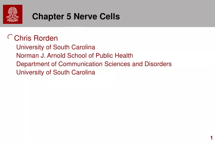 chapter 5 nerve cells