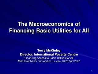 The Macroeconomics of Financing Basic Utilities for All