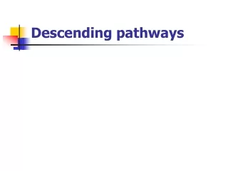 Descending pathways