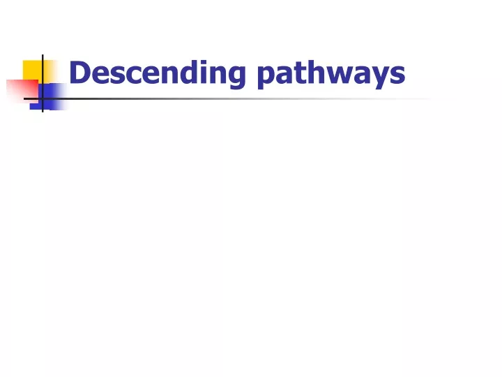 descending pathways