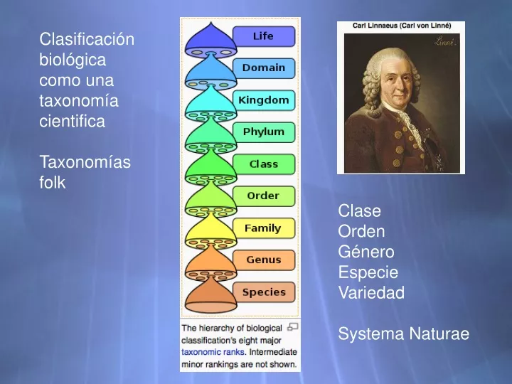 clasificaci n biol gica como una taxonom