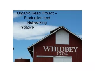 Organic Seed Project – Production and Networking Initiative                   