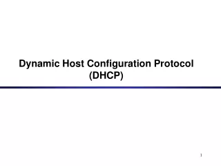 Dynamic Host Configuration Protocol (DHCP)