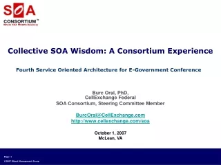 Collective SOA Wisdom: A Consortium Experience