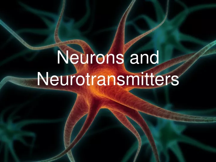 neurons and neurotransmitters