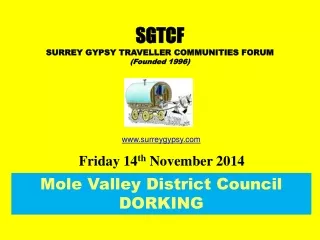 Mole Valley District Council DORKING