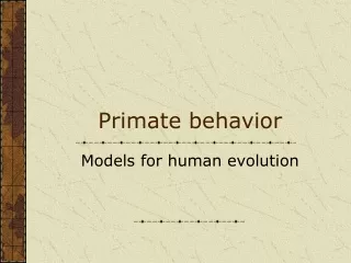 Primate behavior