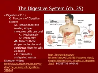 Digestion (35.1)  I. Functions of Digestive System