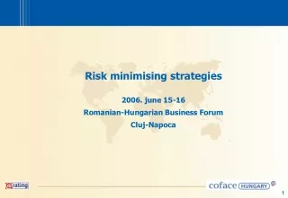 Risk minimising strategies 2006. june 15-16 Romanian-Hungarian Business Forum Cluj-Napoca