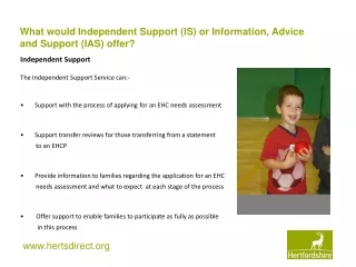 What would Independent Support (IS) or Information, Advice and Support (IAS) offer?