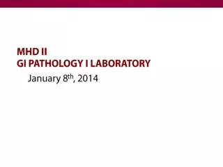 MHD  II GI Pathology I Laboratory