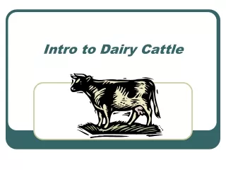 Intro to Dairy Cattle