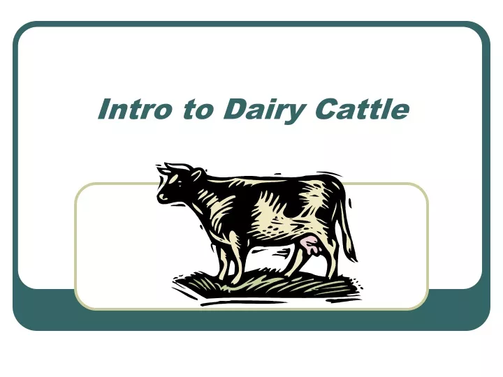 intro to dairy cattle