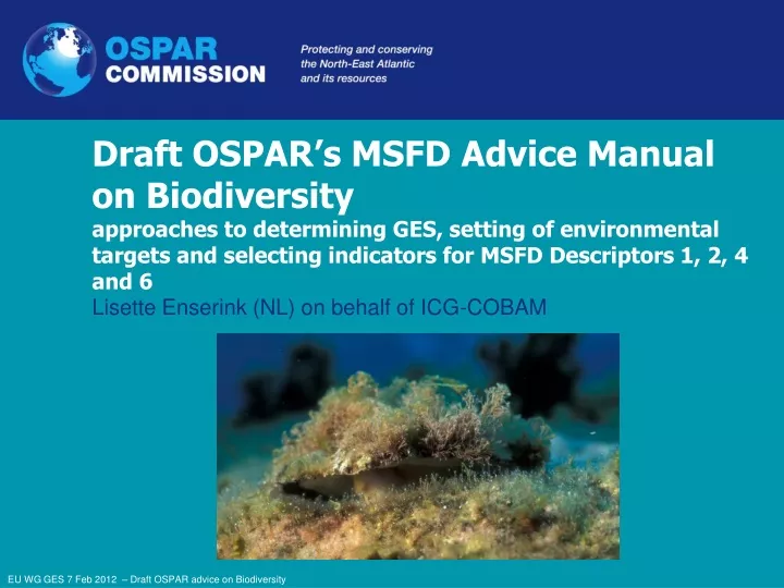 draft ospar s msfd advice manual on biodiversity