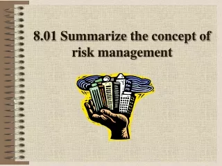 8.01 Summarize the concept of risk management