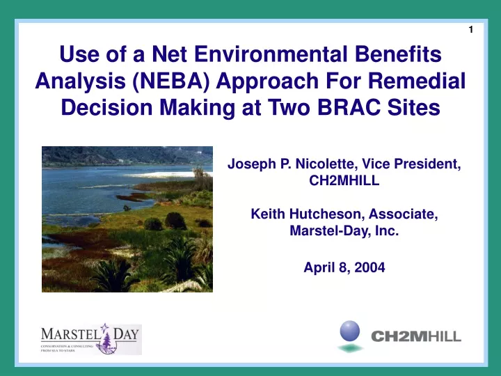 use of a net environmental benefits analysis neba