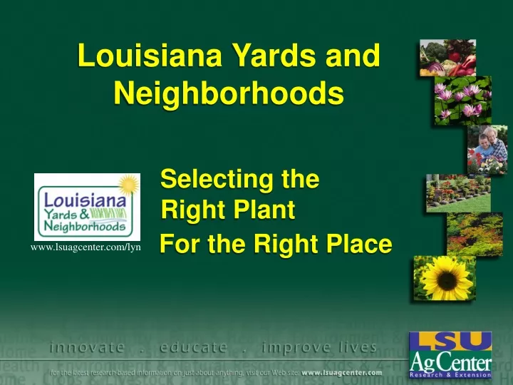 louisiana yards and neighborhoods