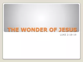 THE WONDER OF JESUS