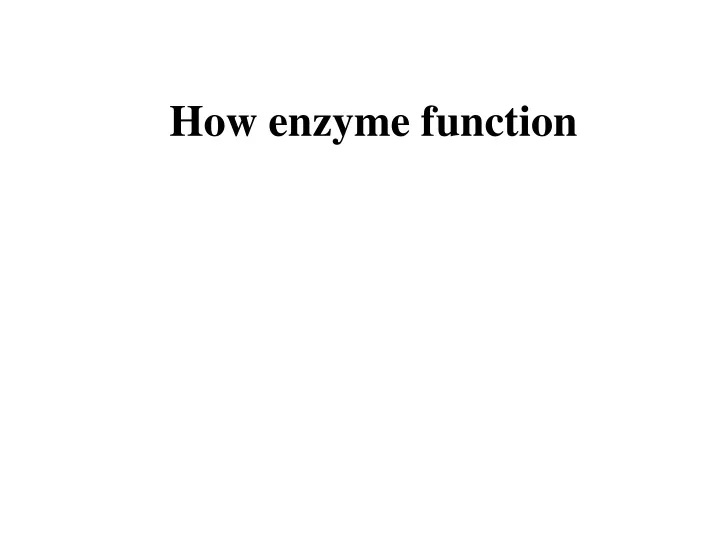 how enzyme function