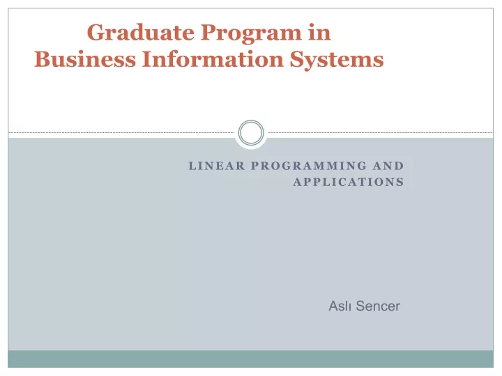 graduate program in business information systems