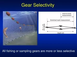 Gear Selectivity