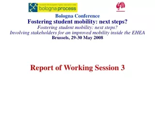 Report of Working Session 3
