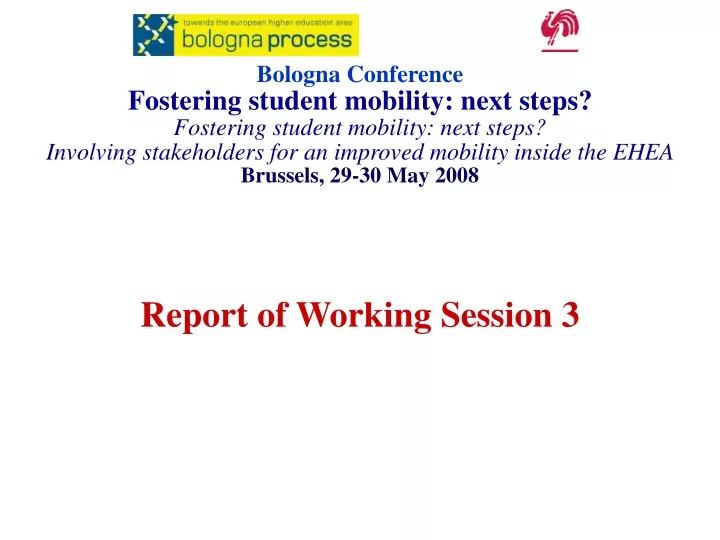 report of working session 3