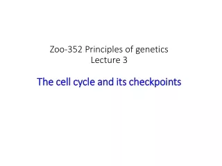 Zoo-352 Principles of genetics Lecture 3 The cell cycle and its checkpoints